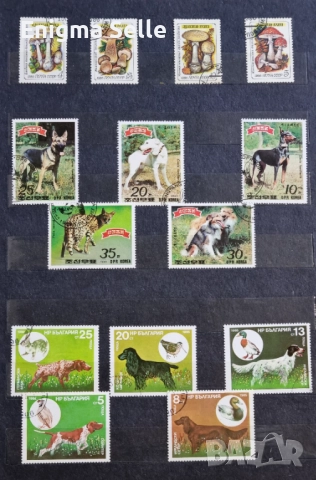 Колекция от пощенски марки , снимка 3 - Филателия - 52777571