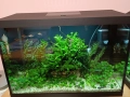 Напълно оборудван и работещ аквариум , снимка 2