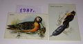Стари календарчета от 1987г., 2011 г., 2013 г. и 2015 г. с животни, птици и риби, снимка 3