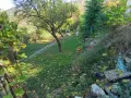 Вила в местност шашкъните, снимка 12
