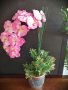 Изкуствена орхидея в кашпа , снимка 1 - Изкуствени цветя - 38256840