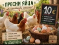 продавам петли и кокошки, снимка 12