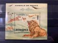 636а. Румъния 2000 = “ Фауна. Хищници. Големи котки: Лъв. “ ,**,MNH, снимка 1 - Филателия - 38406353