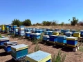 Продавам пчелни кошери, снимка 1