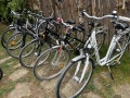 Велосипеди от 100 до 200 евро, снимка 13
