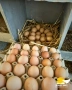 Яйца от селски кокошки, снимка 1