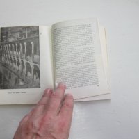 Книга Велико Търново , снимка 5 - Специализирана литература - 31178404