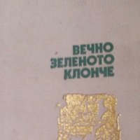 Драган Тенев - Вечно зеленото клонче (1979) (без обложка), снимка 1 - Художествена литература - 29392282