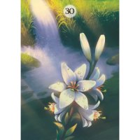 карти оракул  LOSCARABEO HERBS & PLANTS LENORMAND  , снимка 6 - Карти за игра - 42855598