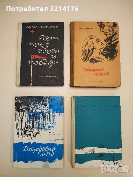 Железен път - Димитър Добревски, снимка 1