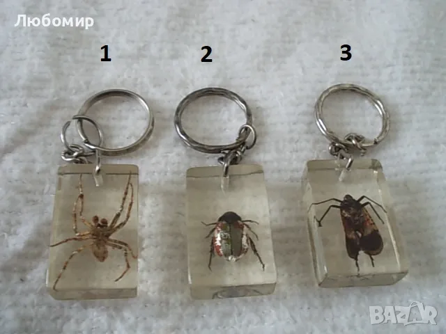 Стари ключодържатели Насекоми, снимка 1