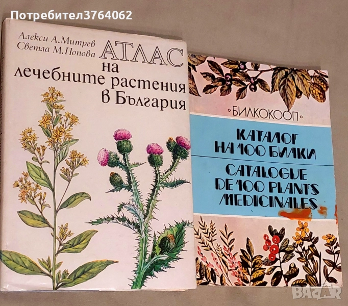 Атлас на лечебните растения в България . Каталог на 100 билки Стоян Й. Стоянов, снимка 1