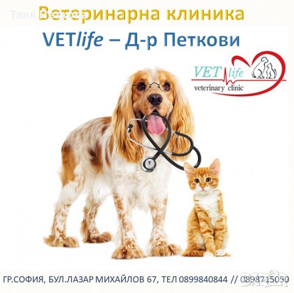 Ветеринарна клиника - Д-р Петкови , снимка 1