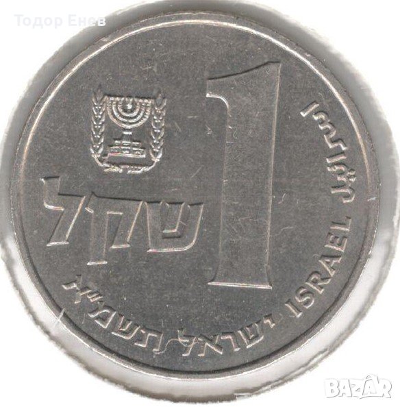 Israel-1 Sheqel-5741 (1981)-KM# 111, снимка 1