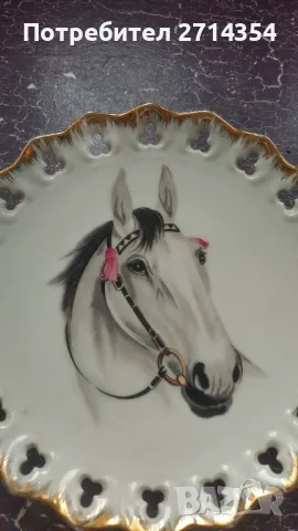 Порцеланова чиния декорация , снимка 3 - Декорация за дома - 49998859