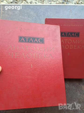 Атлас анатомии человека 1 и 2 том Синелников 28/1, снимка 2 - Специализирана литература - 51783286