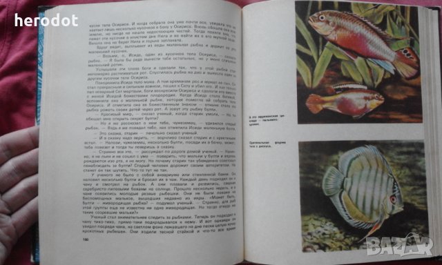 Занимательный аквариум - М. Махлин, снимка 5 - Художествена литература - 31539507