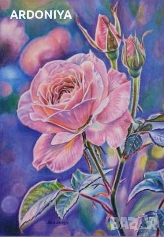 Роза картина