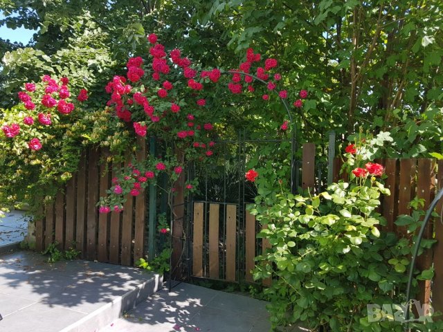 Нощувки в Апартамент в Ахелой свободен апартамент след 18.08.25г.  , снимка 10 - Почивки на море - 29363994