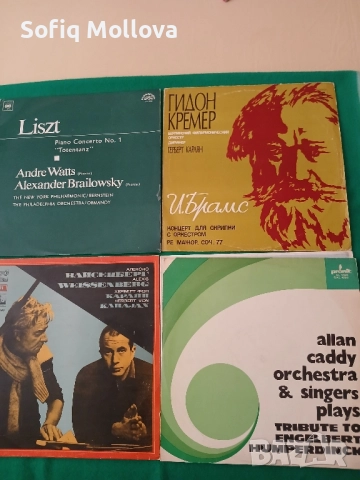 Грамофонни плочи, снимка 2 - Грамофонни плочи - 51765822