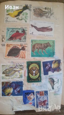 пощенски марки, снимка 6 - Филателия - 29398074