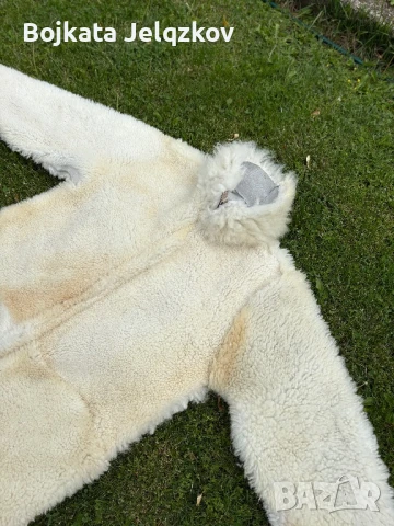 Сурвакарски костюм , снимка 5 - Костюми - 50741742