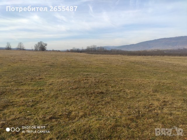 Елена Милковци , снимка 4 - Земеделска земя - 39892067