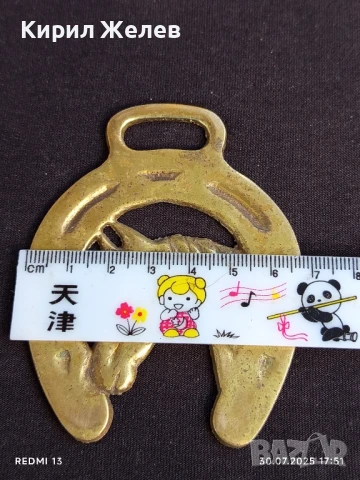 ВИНТИДЖ КОНСКИ МЕДАЛЬОН АНГЛИЯ РЯДЪК ЗА КОЛЕКЦИОНЕРИ 22927, снимка 5 - Други ценни предмети - 51195027