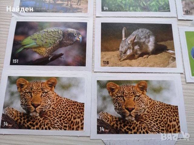 Стикери за Billa албум Animal planet, снимка 3 - Колекции - 35402949