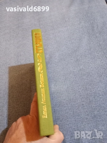 Етел Лилиан Войнич - Стършел , снимка 2 - Художествена литература - 52522045