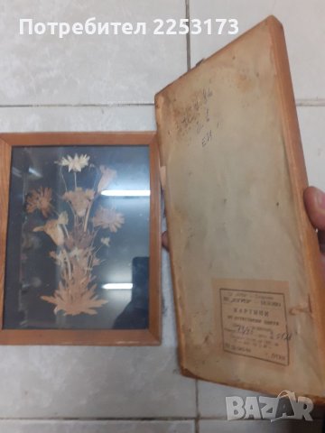 Пано хербарий в рамка лот, снимка 4 - Декорация за дома - 34860551