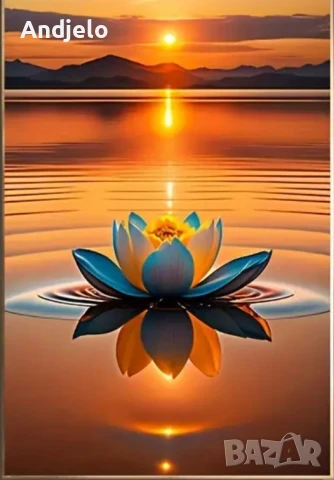  Massage ,Ви предлага индивидуален подход към всеки човек .