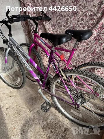 Велосипед Apollo Siren и Vogue Townsend