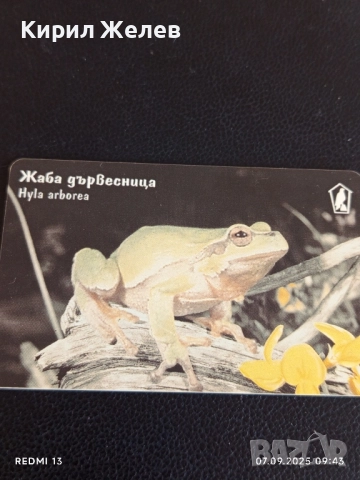 Три фонокарти серия ЖИВОТНИ АЛПИЙСКИ ТРИТОН, ТАРАЛЕЖ,ЖАБА ДЪРВЕСНИЦА 28162, снимка 2 - Други ценни предмети - 51630547