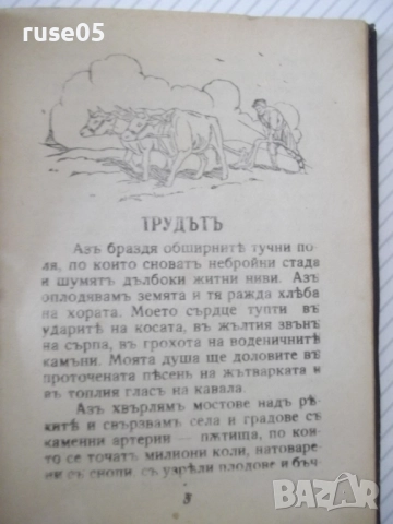 Книга "Книга за малкитѣ българчета-А.Каралийчевъ" - 100 стр., снимка 3 - Детски книжки - 52788538