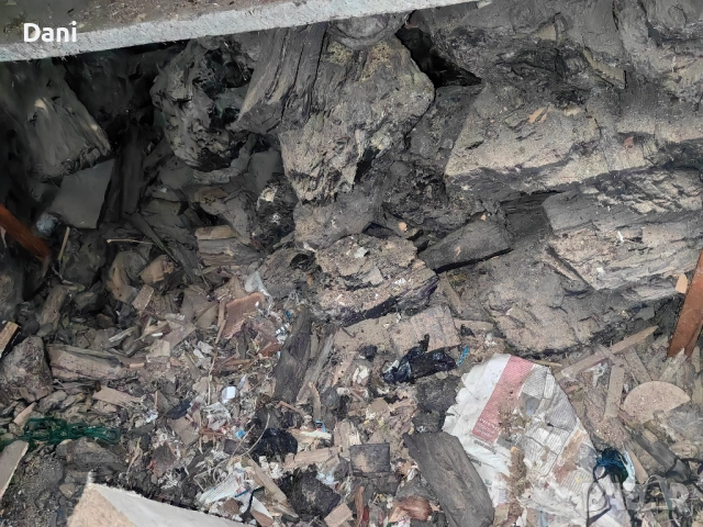 Подарявам въглища, снимка 2 - Въглища - 52823603