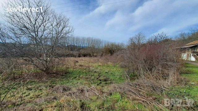 Продавам два съседни парцела в местност Севлиевски лозя , снимка 3 - Парцели - 54082851