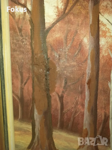 Стара красива картина с хубава рамка мало платно подпис, снимка 3 - Антикварни и старинни предмети - 53363540