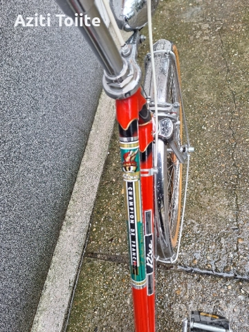 Rixe champion de france, снимка 9 - Велосипеди - 51972968