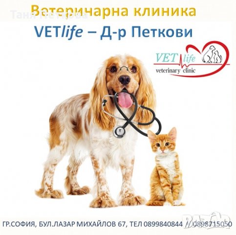 Ветеринарна клиника - Д-р Петкови , снимка 1 - Ветеринари и услуги - 28271155