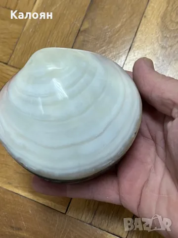 Винтидж Седефена кутийка Мида за бижута от Бали, снимка 2 - Други - 48655915