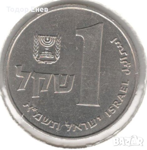Israel-1 Sheqel-5741 (1981)-KM# 111