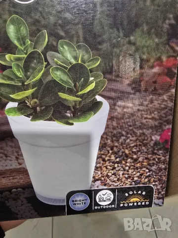 соларни лампи саксия, снимка 2 - Соларни лампи - 49865145