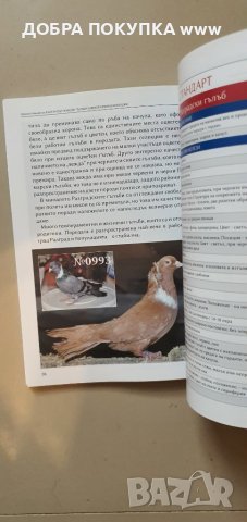 Български гълъби и кокошки, снимка 11 - Енциклопедии, справочници - 42222208