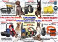 Електронен нашийник за куче ,обучителен, дресировъчен ,каишка , водоустойчиви , презареждащи, снимка 1