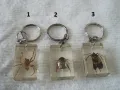 Стари ключодържатели Насекоми, снимка 1
