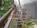 Ретро Керамични саксии за растения всякакви размери, употребявани и чисто нови; поставки за саксии , снимка 15