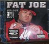 Fat joe - Jalous ones still envy, снимка 1 - CD дискове - 37297306
