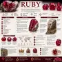 925 Сребърни обеци с натурален африкански рубин, снимка 4