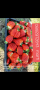 Разсад ягоди. .И .малини., снимка 7